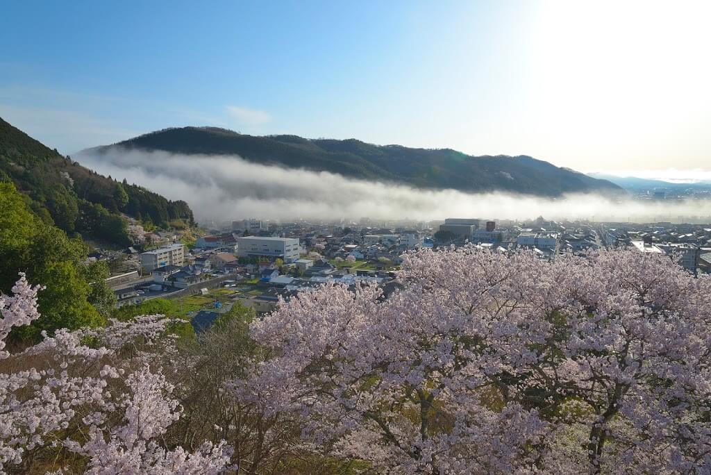 尾関山公園 広島県 で桜を見てきました 散策同好会 旅の軌跡と備忘録