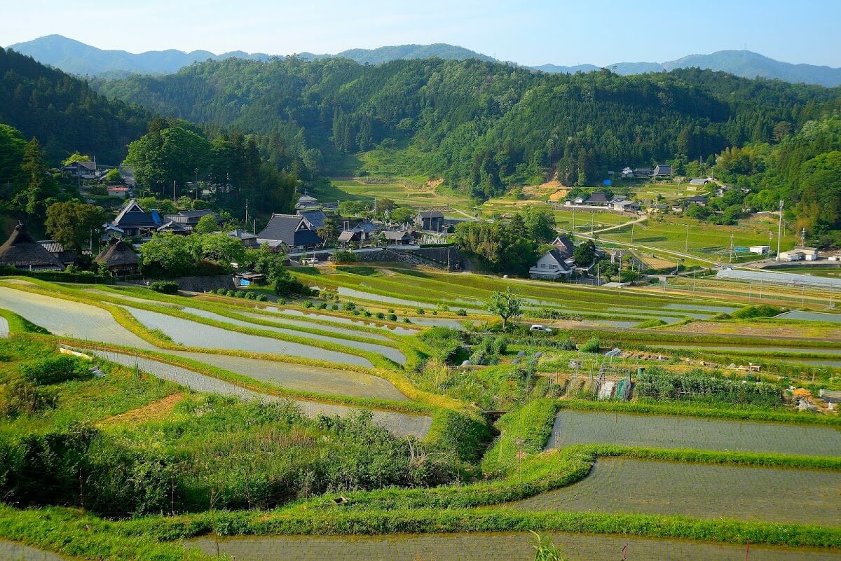 長谷の棚田 ながたにのたなだ 伝統的な石積み施設を持つ広大な棚田 散策同好会 旅の軌跡と備忘録