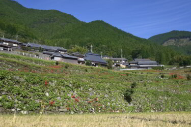 奥猪篠の棚田（兵庫県神河町） ～白岩山の山麓にひろがる石積の棚田～