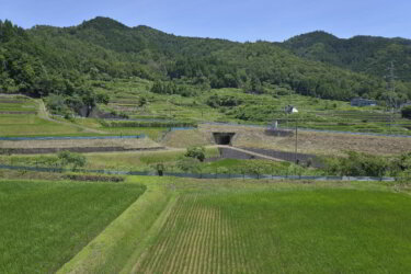 宮垣の棚田（養父市大屋町宮垣） ～県道沿いに広がる「つなぐ棚田遺産」～