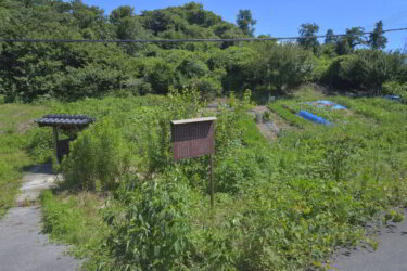 堂川の命水（広島県福山市） ～地元の方々が復元した坪生の名水～