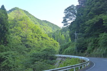 出逢の泉（鳥取県八頭町）に訪れた感想と現地レポート